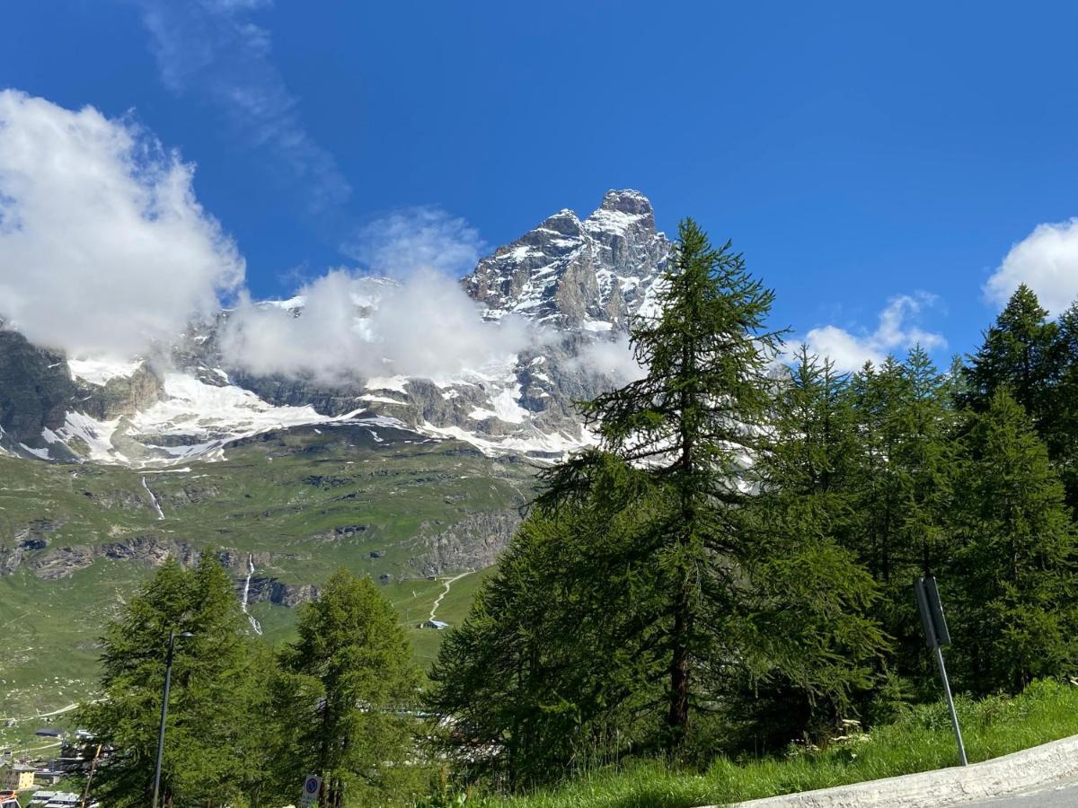 Baita Delle Marmotte Cir N 0012 Breuil-Cervinia Dış mekan fotoğraf