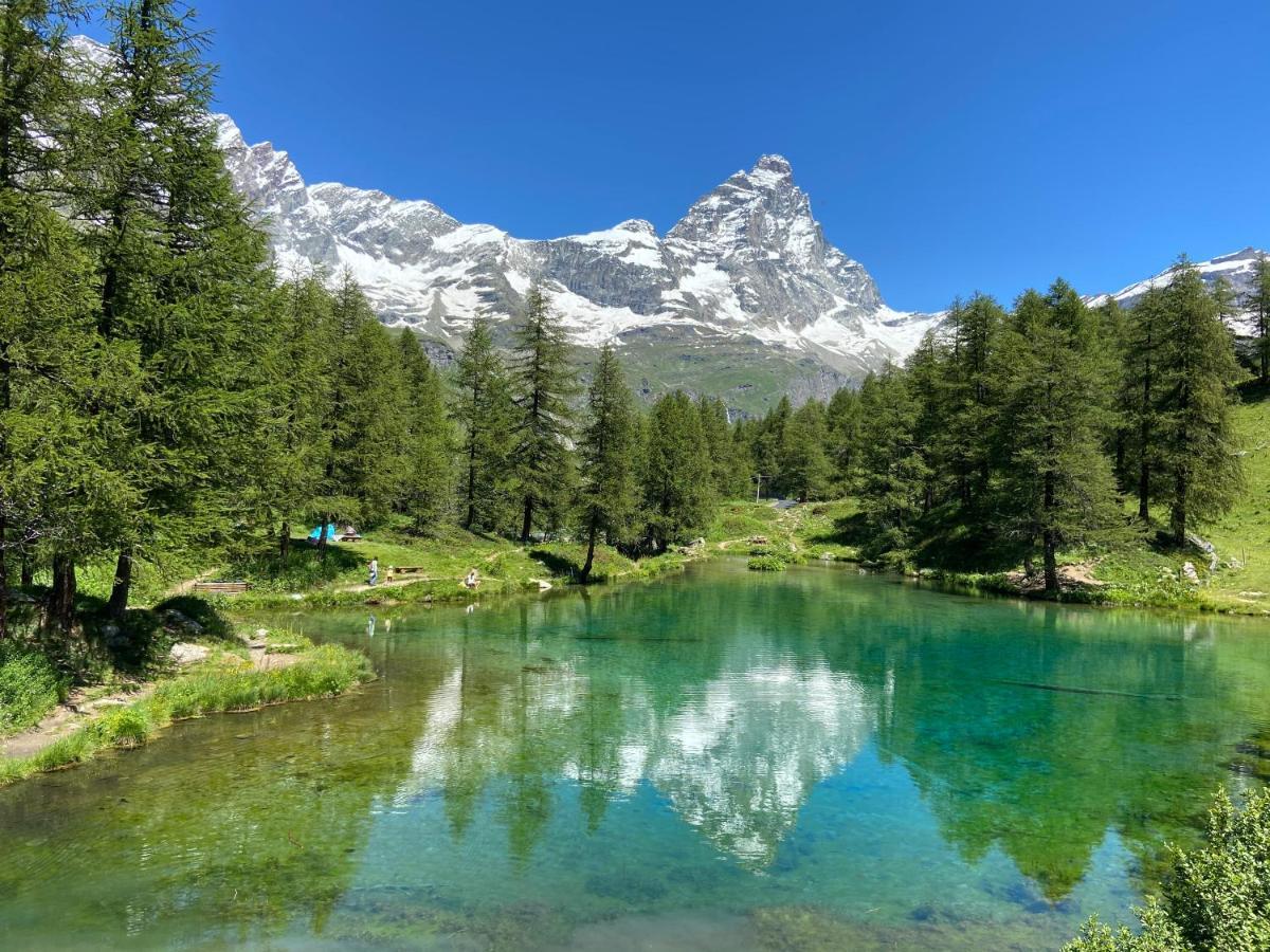 Baita Delle Marmotte Cir N 0012 Breuil-Cervinia Dış mekan fotoğraf